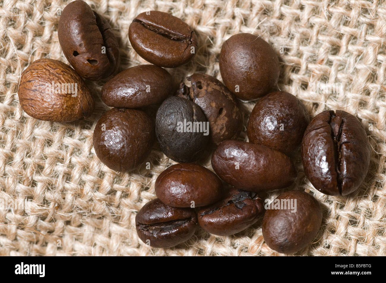 El aroma del café en granos Foto de stock
