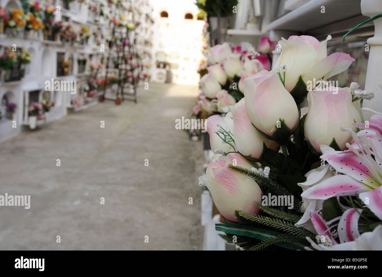 Rosas artificiales en un cementerio, Vejer de la Frontera, España  Fotografía de stock - Alamy