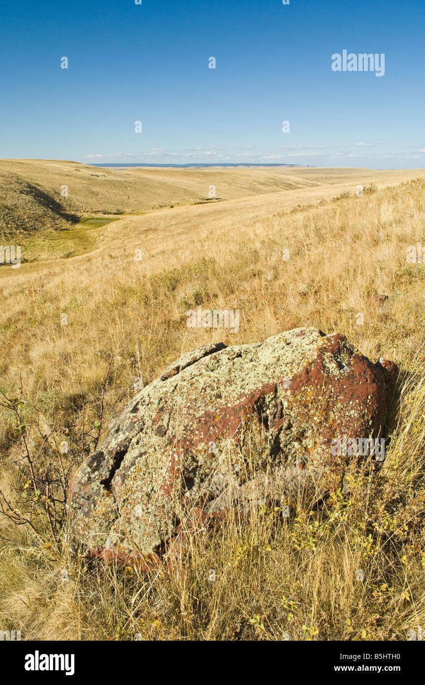 La naturaleza Conservancys Zumwalt Prairie preservar Wallowa County northeast Oregon Foto de stock