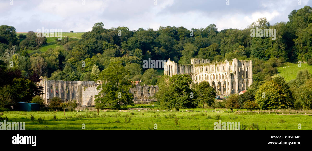 La Abadía de Rievaulx North Yorkshire, Reino Unido Foto de stock