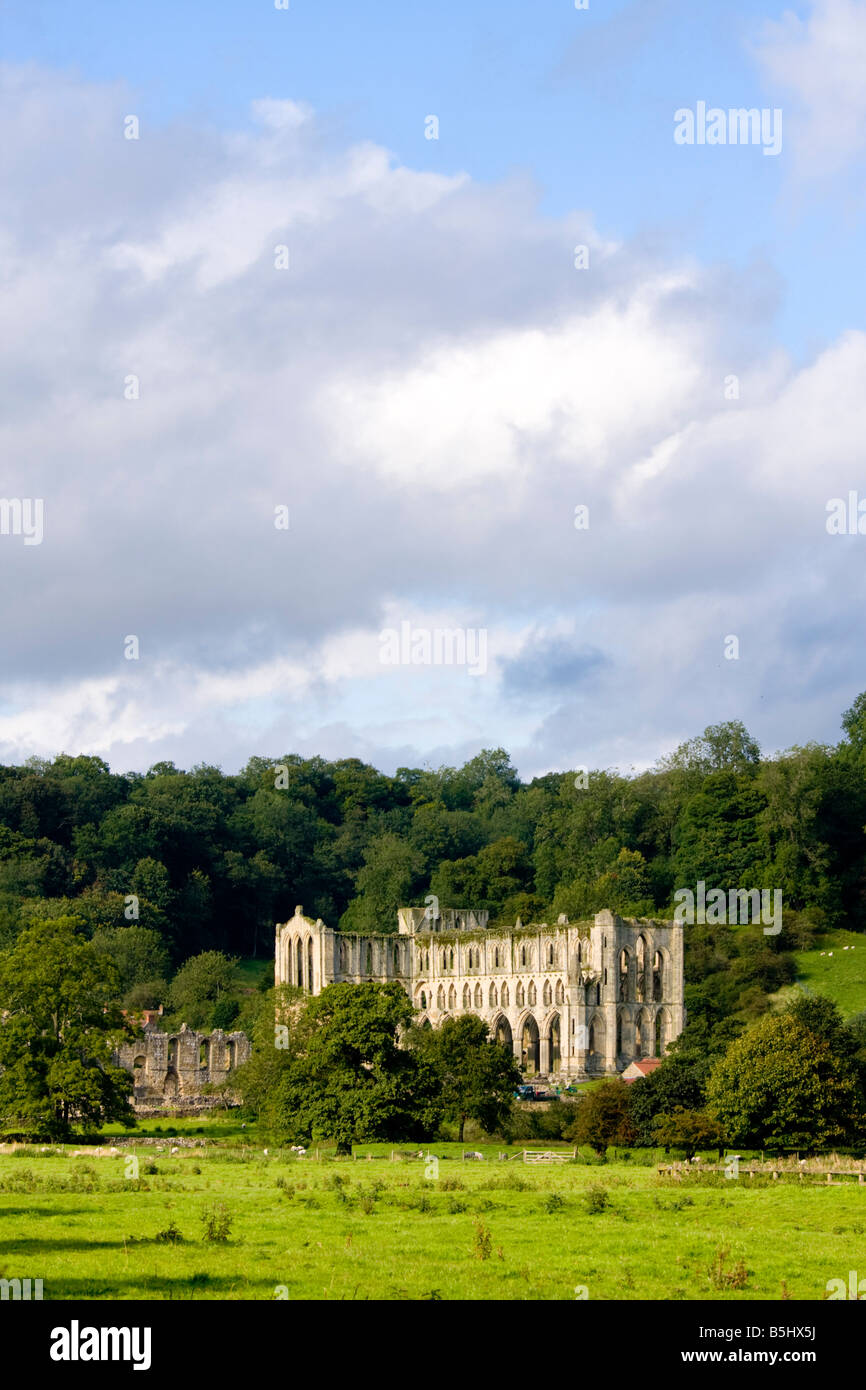 La Abadía de Rievaulx North Yorkshire, Reino Unido Foto de stock