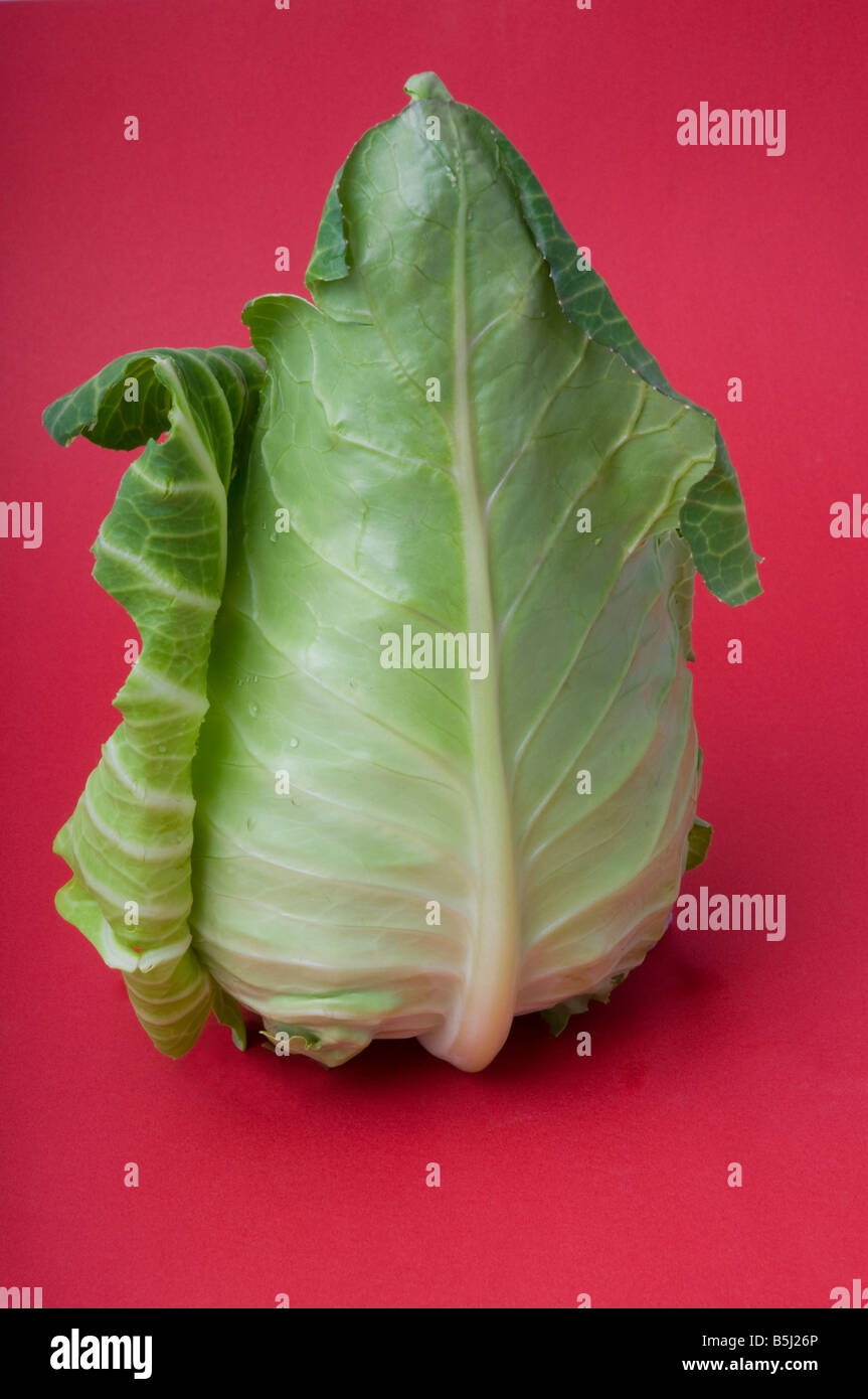 Sugarloaf fotografías e imágenes de alta resolución Alamy