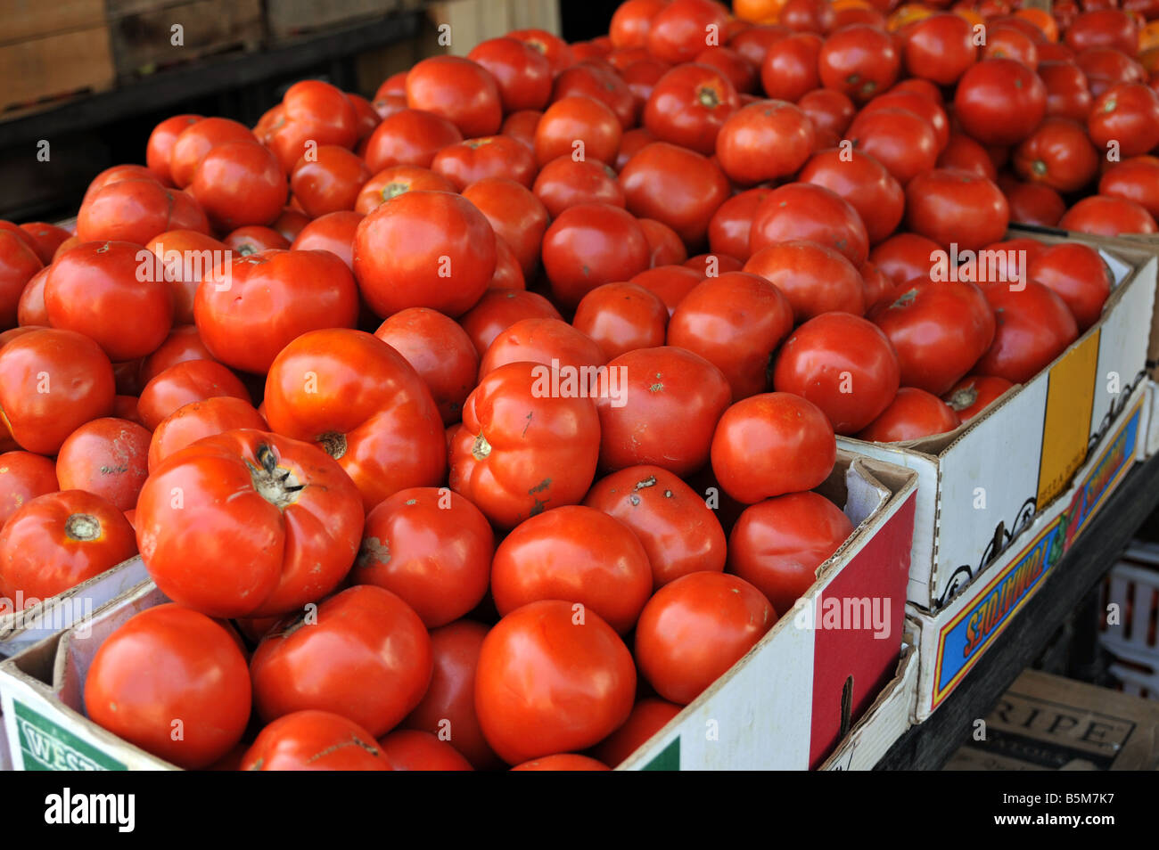 Tomates rojos maduros para la venta en un mercado de agricultores de exterior Foto de stock