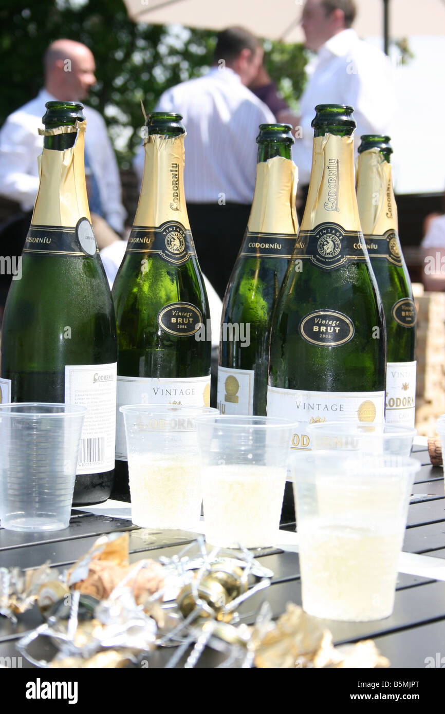 Abrir botellas de champán y vasos de plástico en el garden party Foto de stock