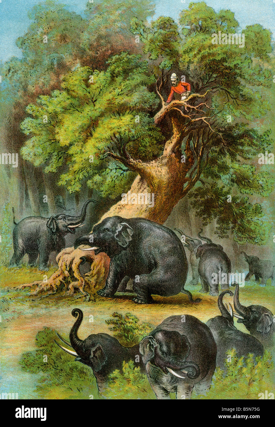 African explorador Henry Stanley atacados por los elefantes 1870. Litografía de color Foto de stock