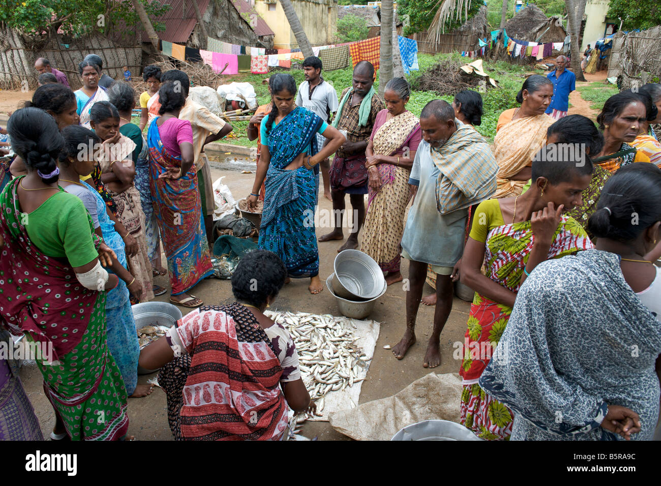 Subasta de pescado en Kalapet aldea cerca de Pondicherry, India. Foto de stock