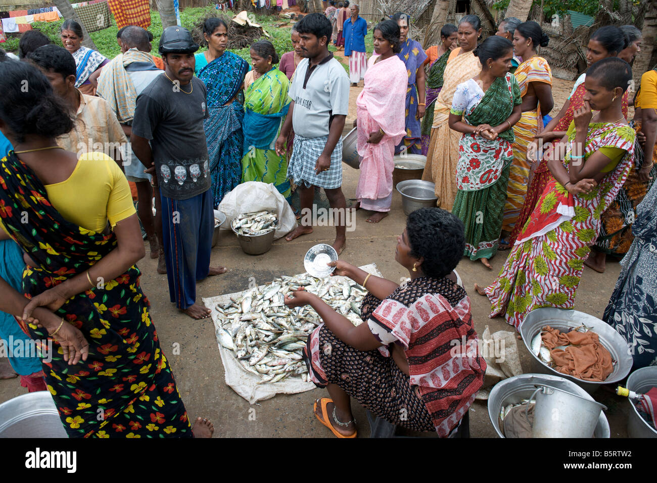 Subasta de pescado en Kalapet aldea cerca de Pondicherry, India. Foto de stock