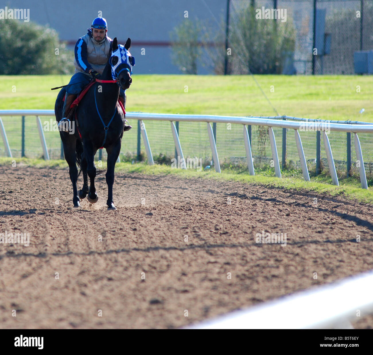 Jockey trabajando fuera su caballo en una pista de carreras de caballos americanos Foto de stock