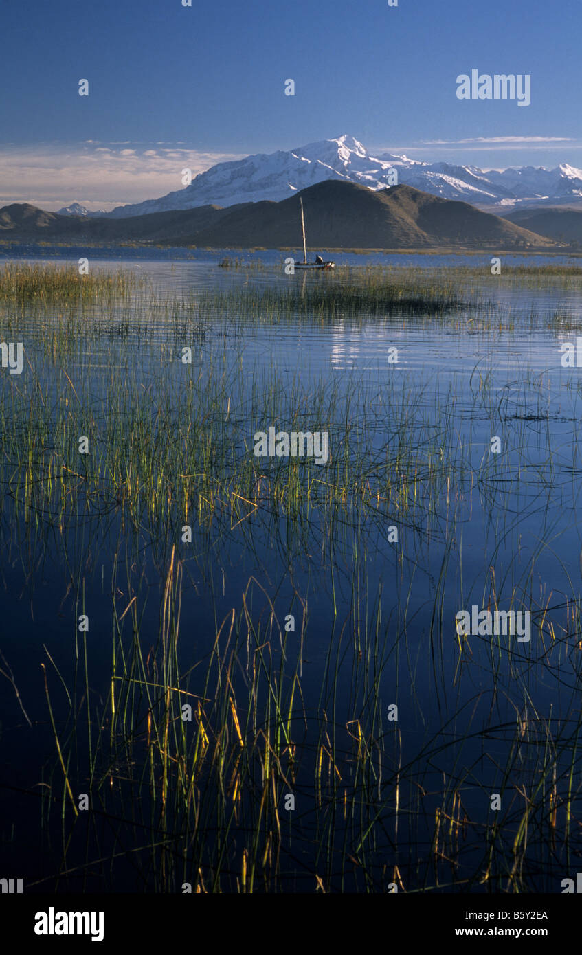 El lago Titicaca, la totora (Schoenoplectus californicus ssp. tatora) y Mt Ancohuma, Bolivia Foto de stock