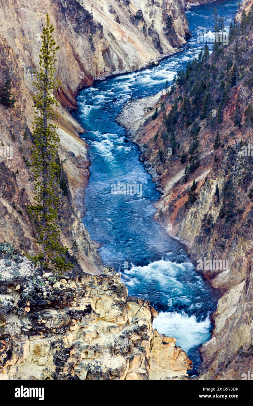 Yellowstone Río abajo Lower Falls, Gran Cañón del Yellowstone, el Parque Nacional Yellowstone, Wyoming, EE.UU. Foto de stock