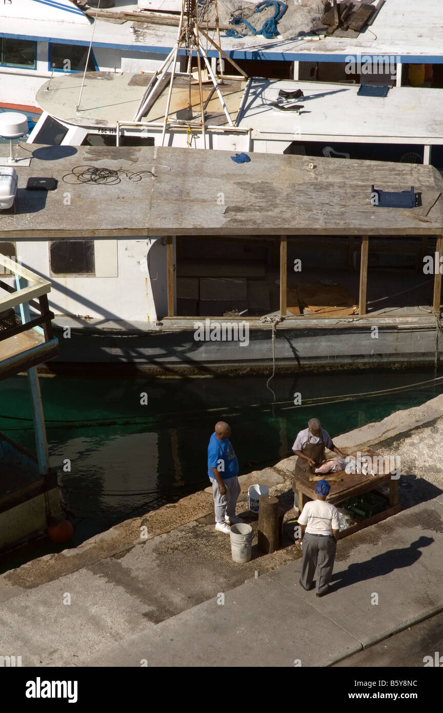Vendedor de pescado, alfareros Cay Dock, Nassau, New Providence, Bahamas Foto de stock
