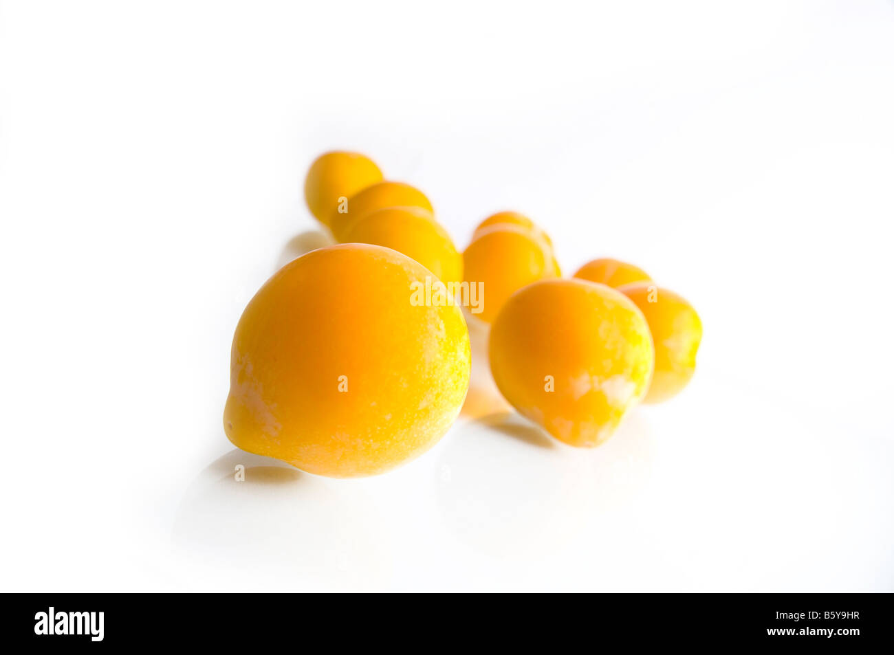 Ciruelas de huevo fotografías e imágenes de alta resolución Alamy