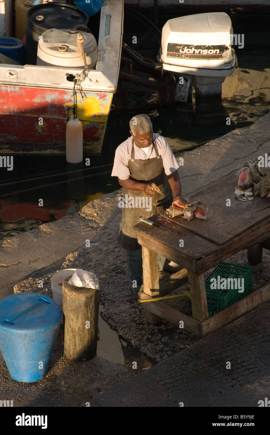Hombre vendiendo caracolas, alfareros Cay Dock, Nassau, Las Bahamas Foto de stock