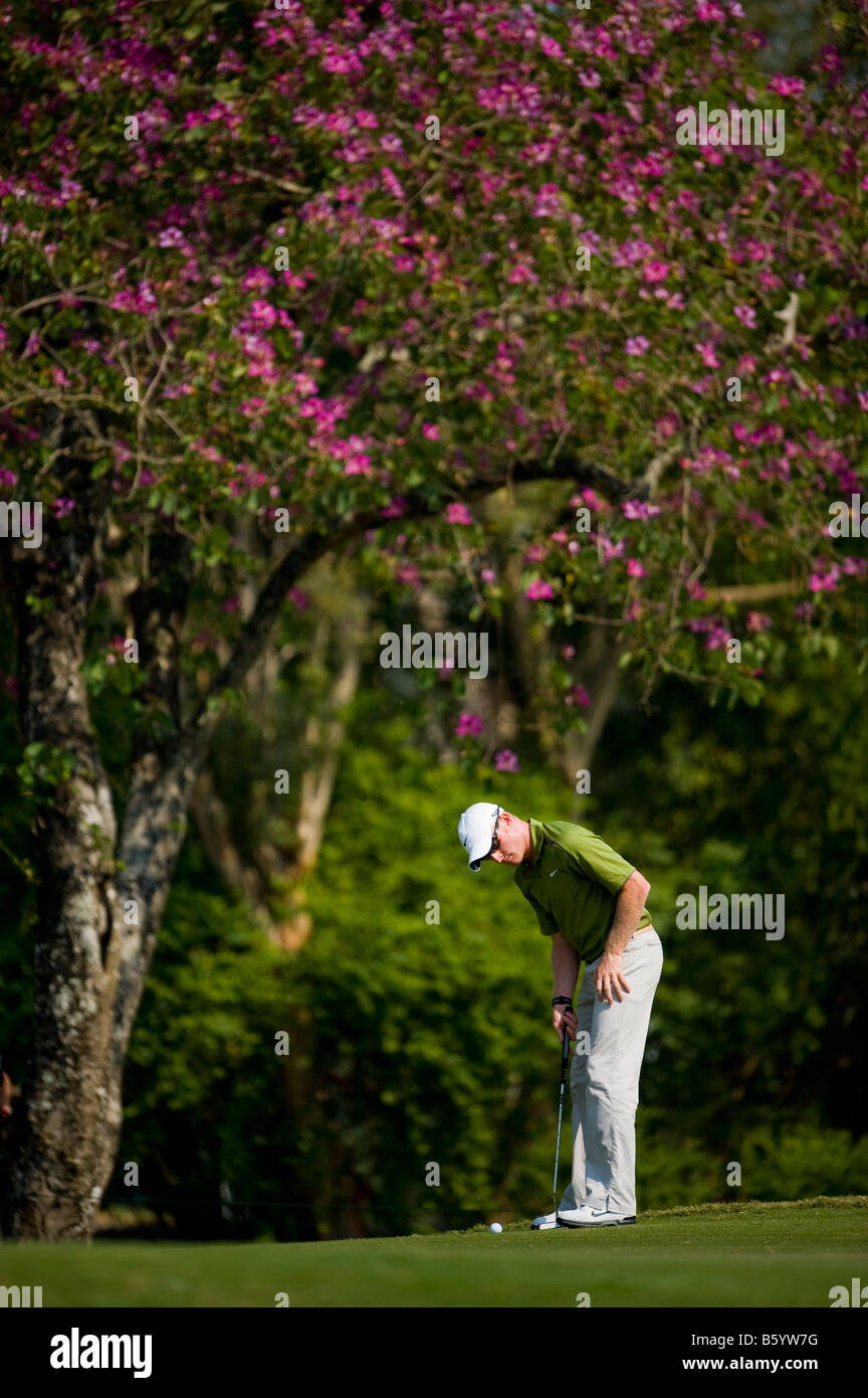 Un golfista durante la ronda final de la Copa del Mundo de Omega 2008 de Golf en el Mission Hills Golf Club en Shenzhen, China Foto de stock