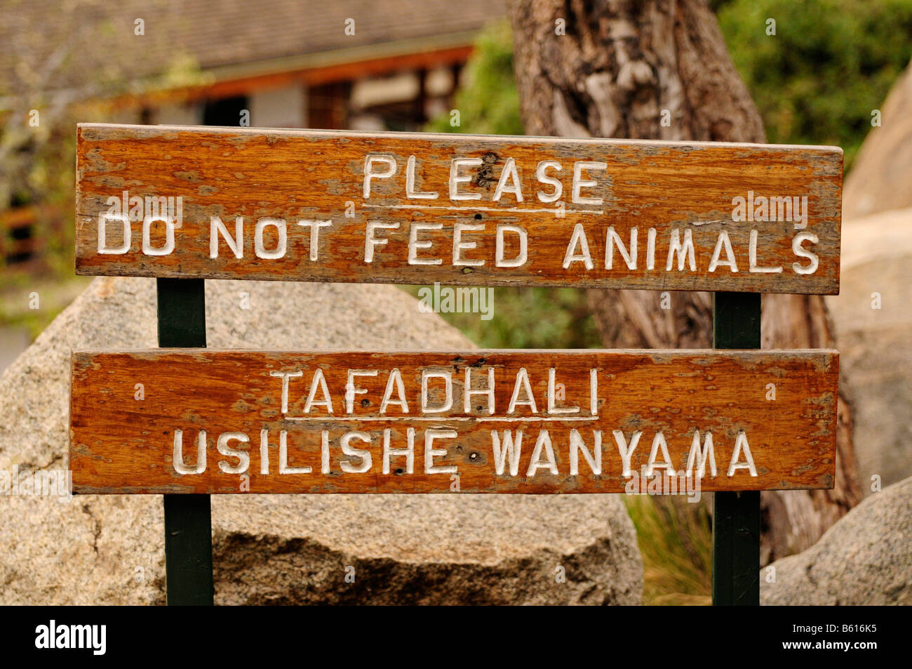 Cartel "Por favor no alimente a los animales en el Seronera Wildlife Lodge, Seronera, Parque Nacional del Serengeti, Tanzania, África Foto de stock