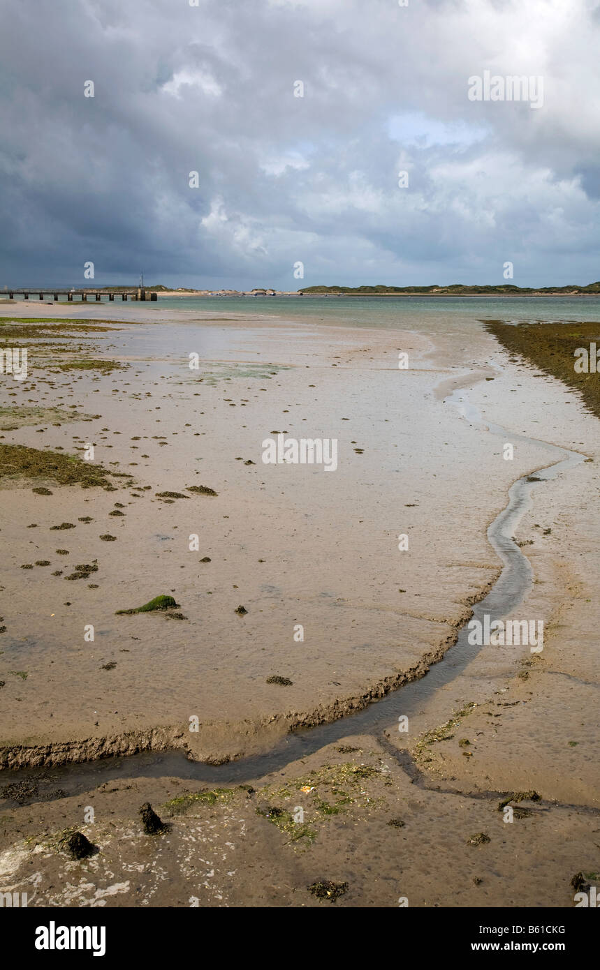 La marea baja en el estuario de TAW DEVON Foto de stock