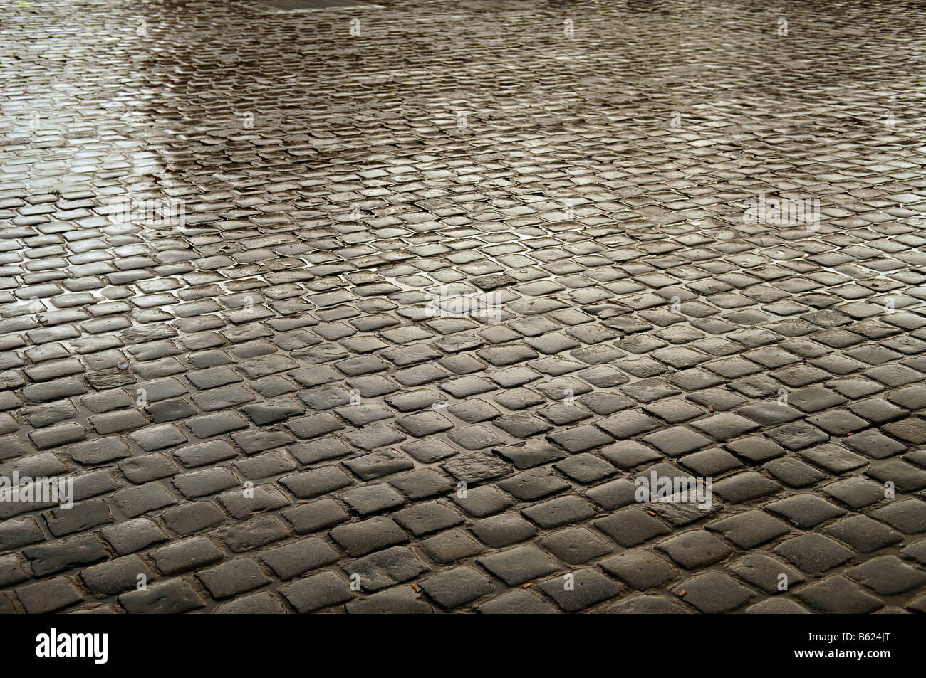 Adoquines mojados con la lluvia, Nuremberg, Mittelfranken, Baviera, Alemania, Europa Foto de stock