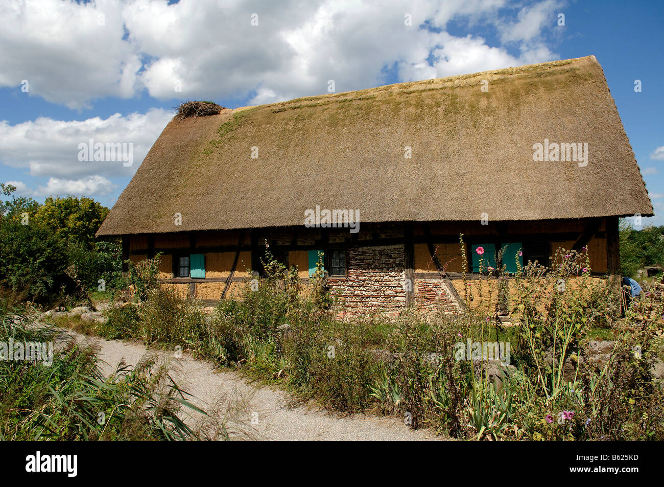 Acacia histórico con entramado de madera y barro una casa con techo de paja, 1561), eco-museo, Ungersheim, Alsacia, Francia, Europa Foto de stock