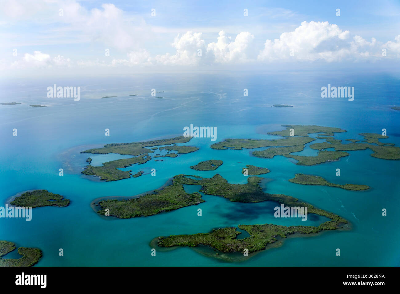 Los manglares en el océano, fotografía aérea, costa entre Dagria y Punta Gorda, Belice, Centroamérica, El Caribe Foto de stock