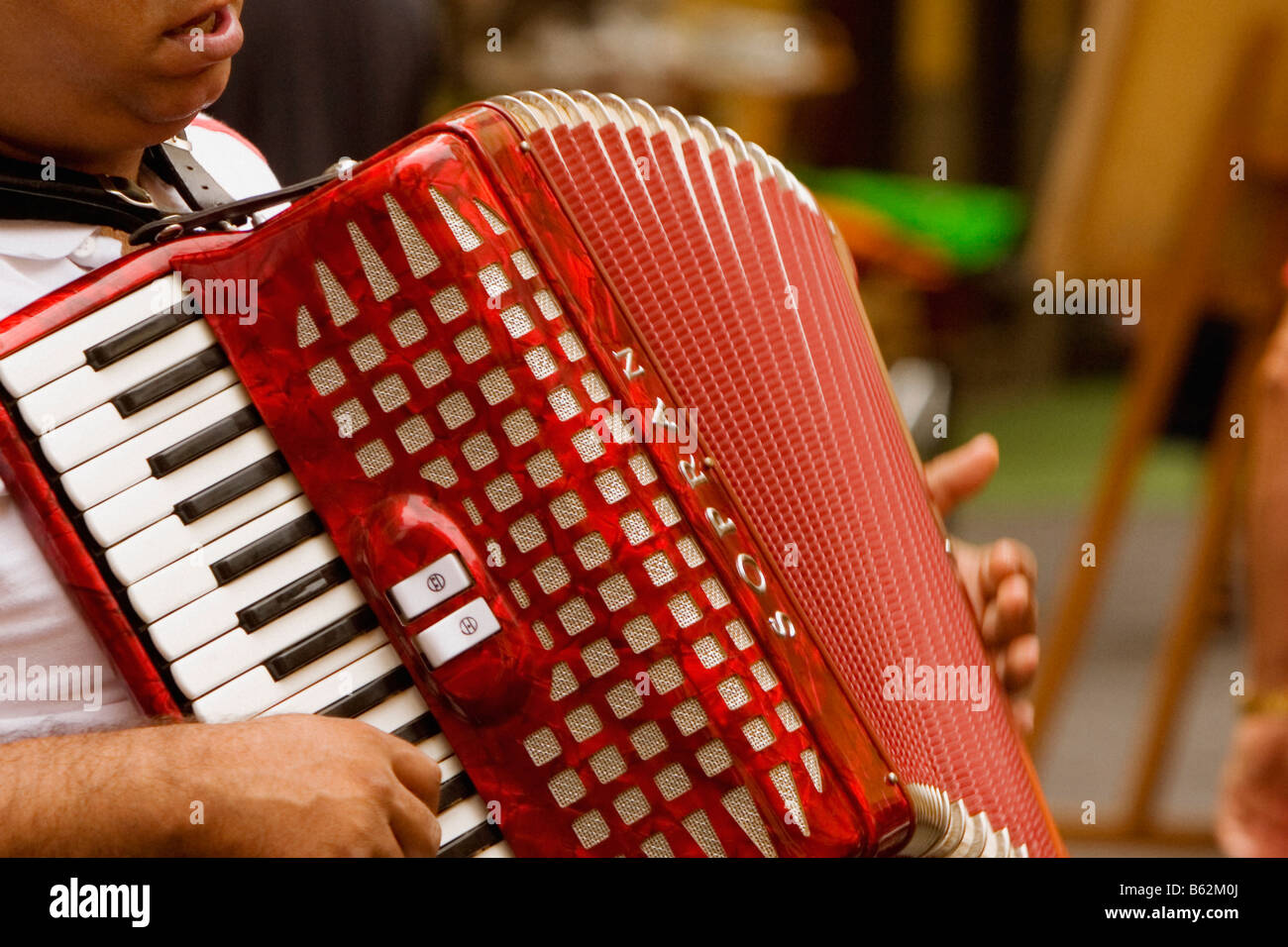 Un hombre tocando el acordeón, Sorrento, Provincia de Nápoles, Campania, Italia Foto de stock