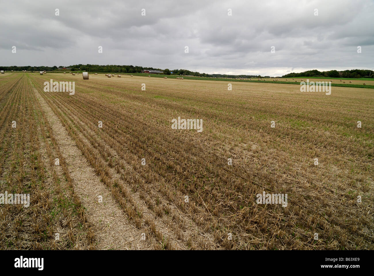 Un campo después de la cosecha de otoño de Suecia Foto de stock