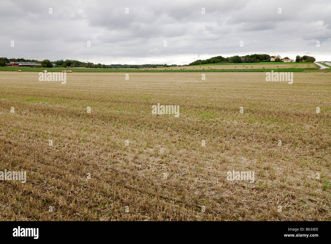 Un campo después de la cosecha de otoño de Suecia Foto de stock