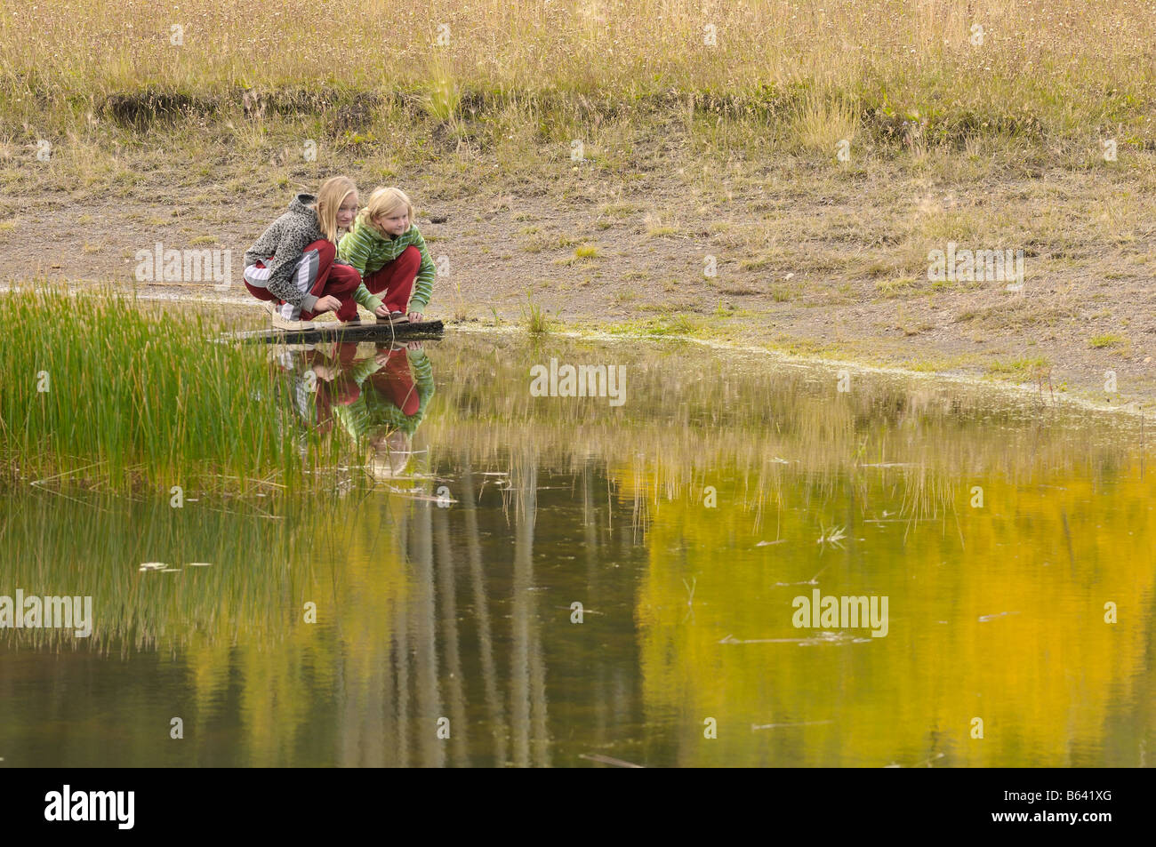 Dos niñas explorar un estanque en otoño Lockett Prado en los Picos de San Francisco, en el norte de Arizona Foto de stock