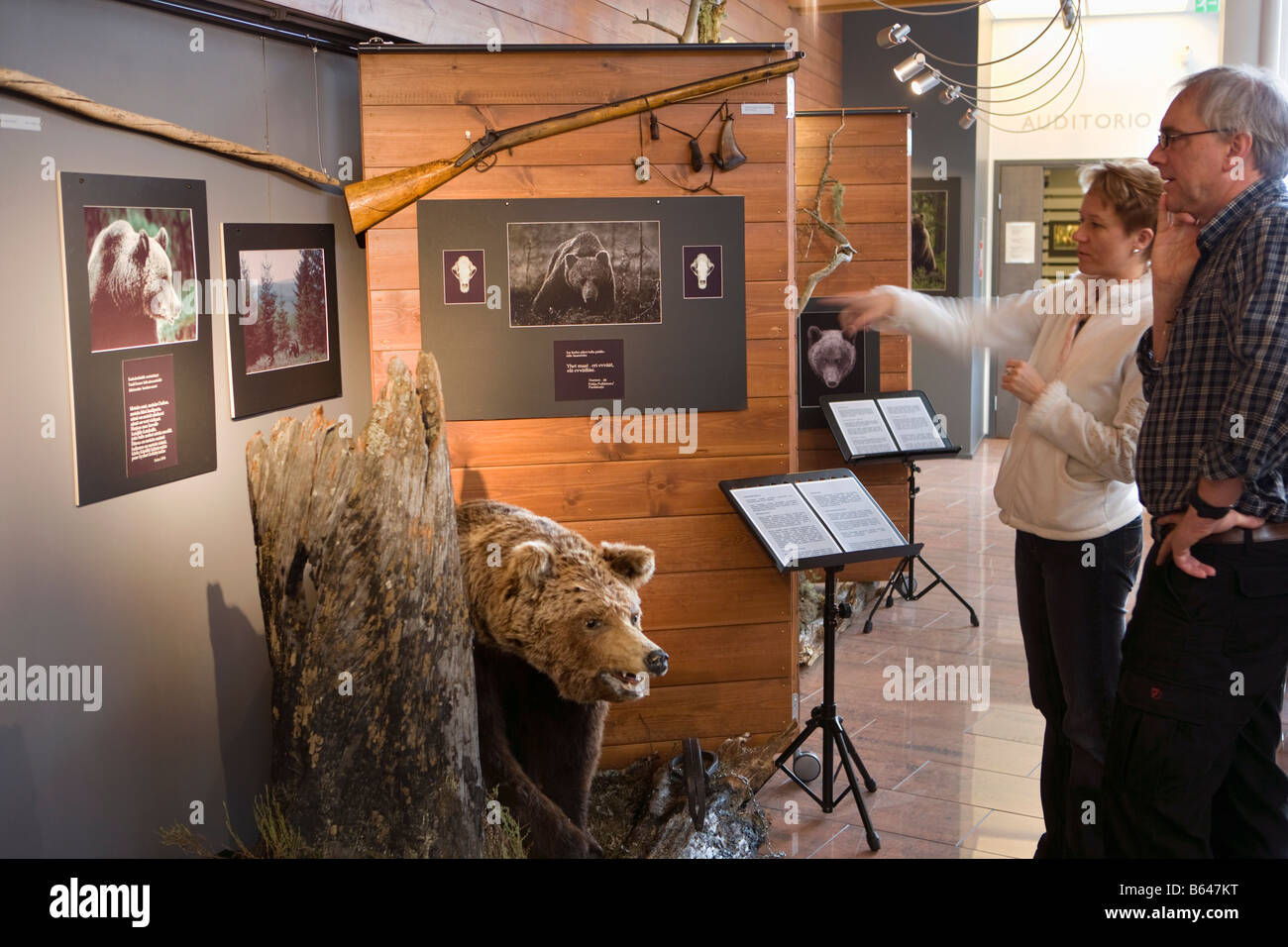 Finlandia, Kuhmo, Petola Visitor Center. Información sobre el mayor de Finlandia y preditors carnívoros, como el oso, el lobo Foto de stock