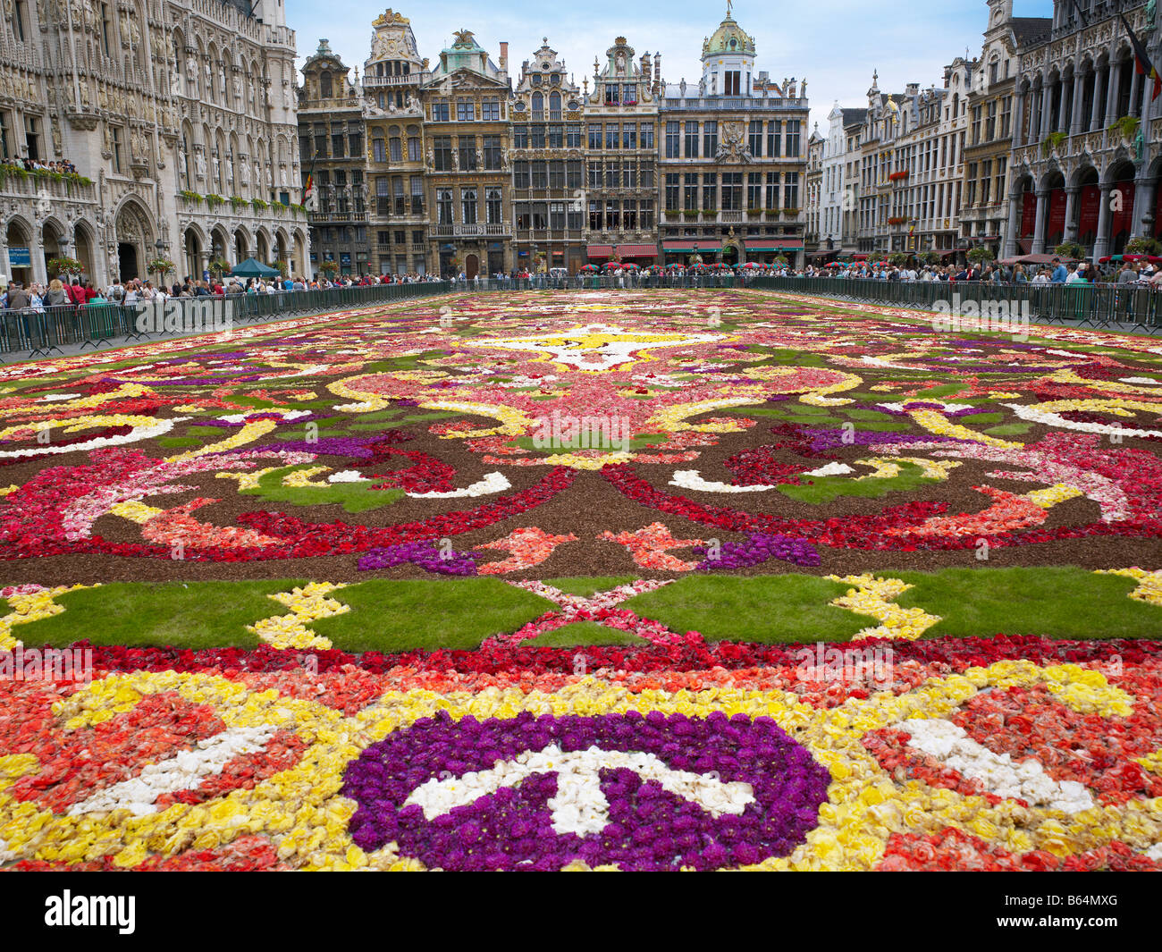Alfombra de Flores en la Grand Place, Bruselas, Brabante La gente admirar Alfombra de Flores en la Grand Place de