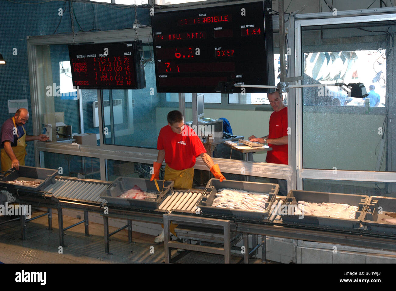 Subasta de pescado vivo en Sete Languedoc Francia Foto de stock