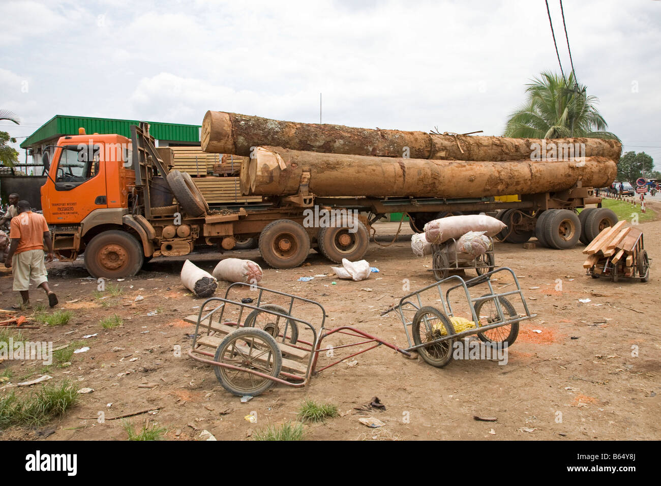 Transporte de madera Douala Camerún África Foto de stock