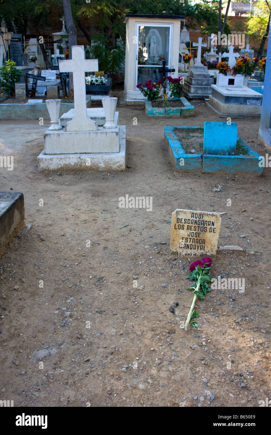 El Cementerio de San Miguel, en Oaxaca, México. Las celebraciones del Día de los muertos. Un mal grave, marcado con una sola flor. Foto de stock