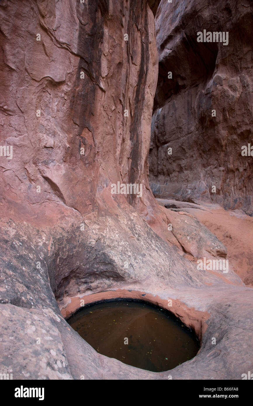 El agua en un bache, horno ardiente Arches National Park, cerca de Moab, Utah Foto de stock