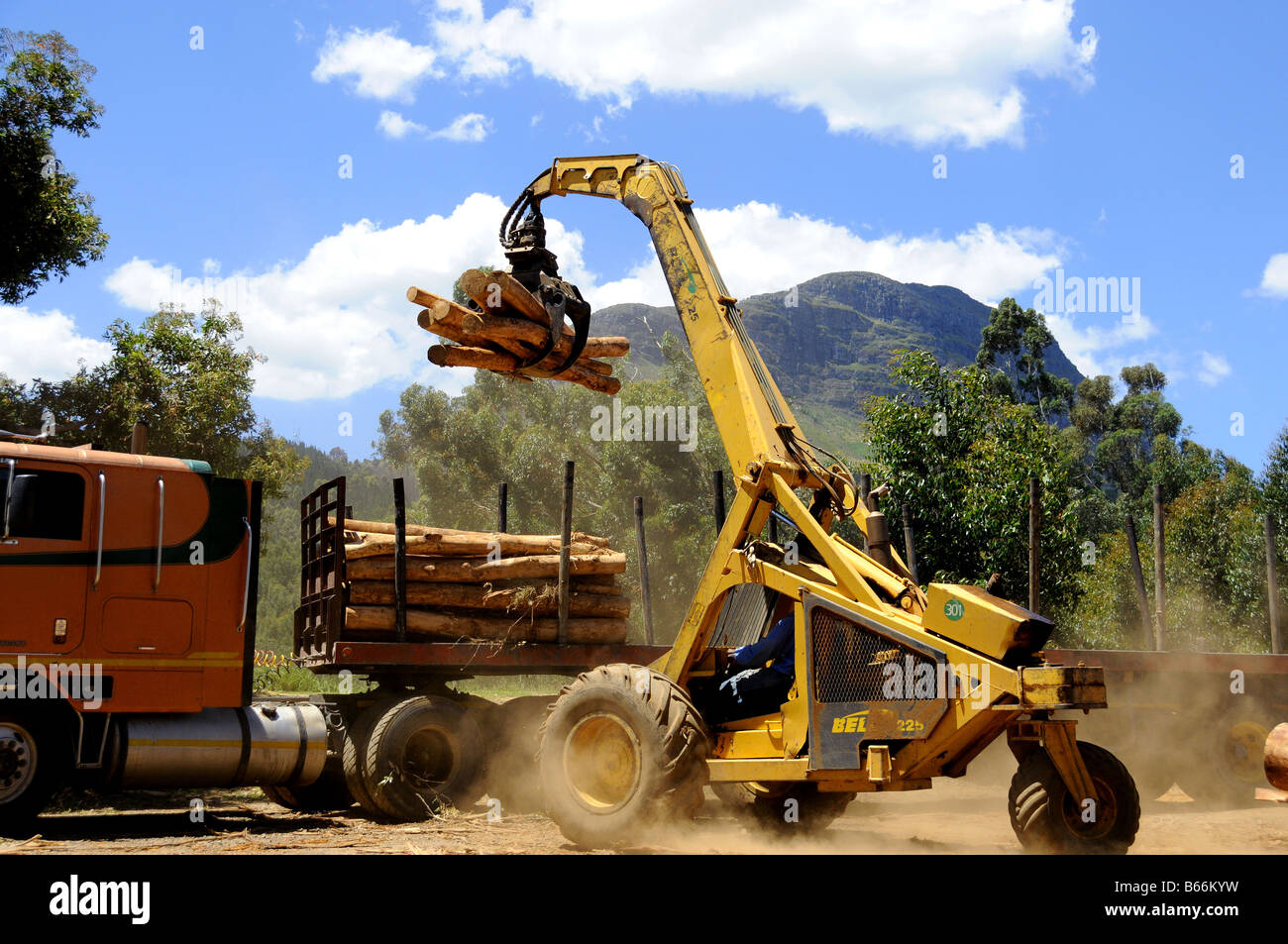 Tractor remolcador de troncos de madera de carga Foto de stock
