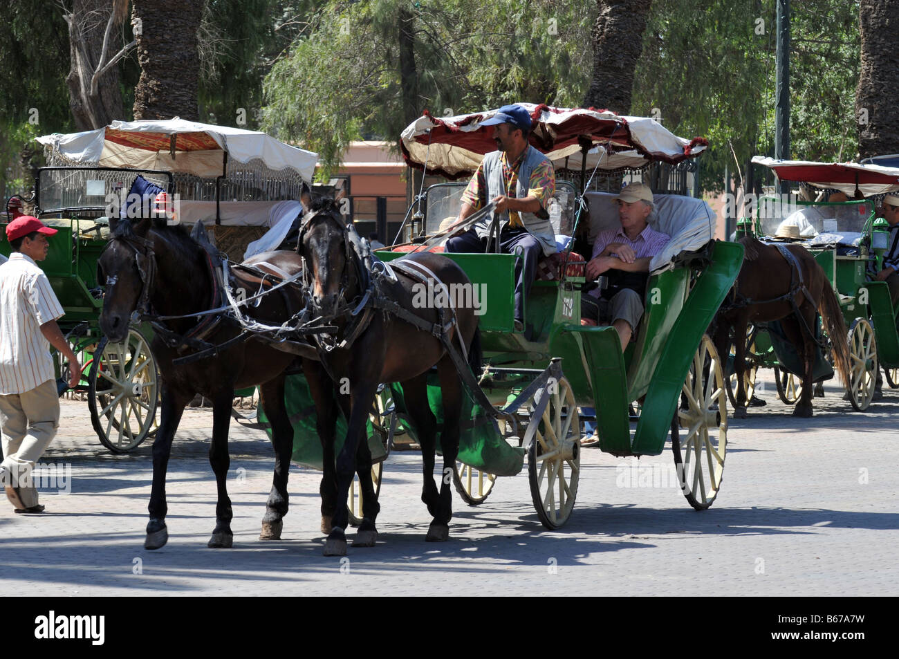 El caballo y el Buggy ride, Marrakech, Marruecos Foto de stock