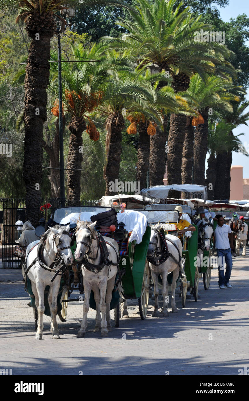 El caballo y el Buggy, Marrakech, Marruecos Foto de stock