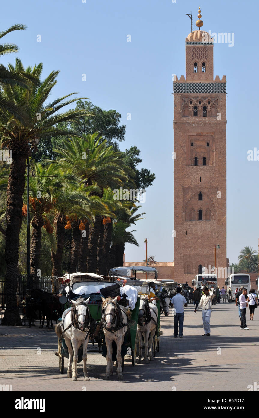 El caballo y el Buggy, Marrakech, Marruecos Foto de stock