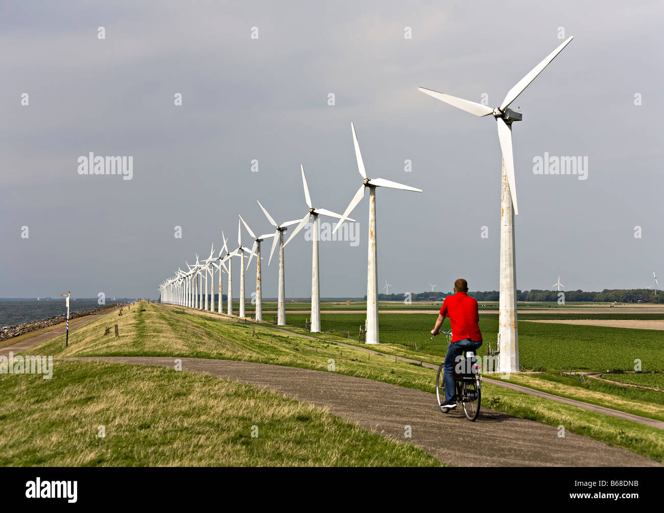 Hombre ciclismo en dique en Essent parque eólico instalado Westermeerdijk Holanda Foto de stock