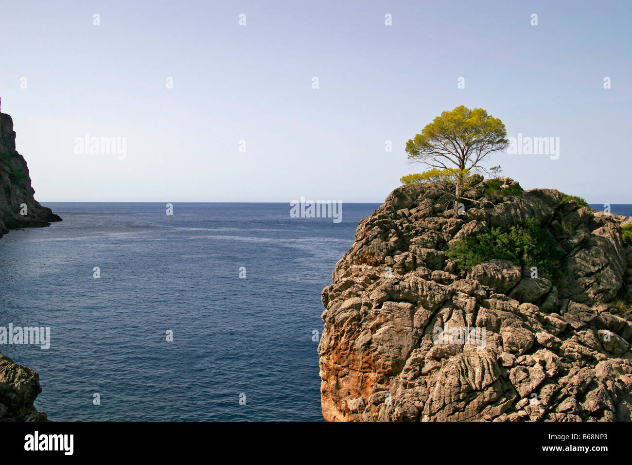 Mallorca insel meer mar vacaciones árbol hermoso paisaje verde agradable relajarse mediteran mar central middlesea España spanien Foto de stock