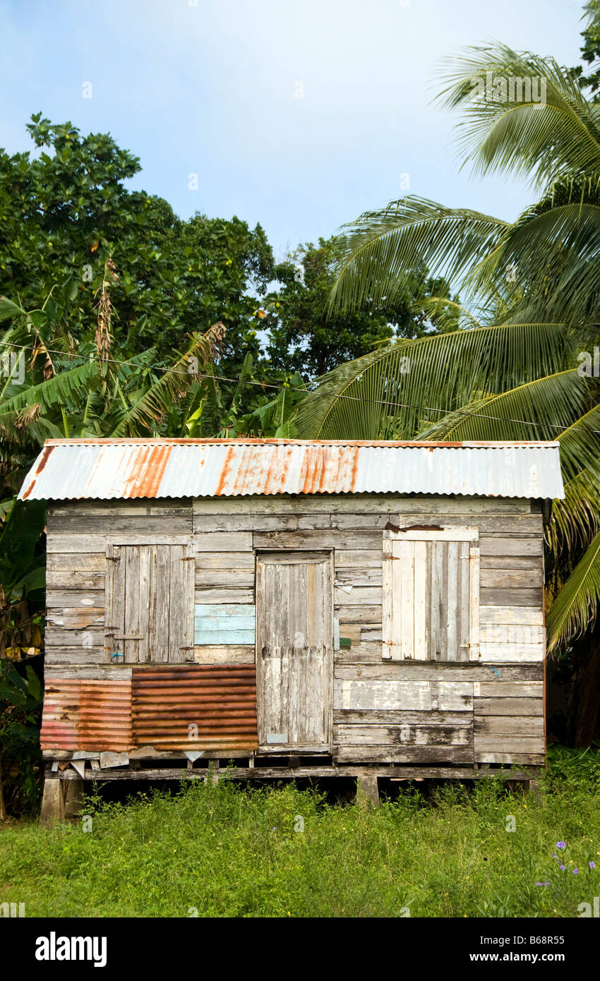 Casa típica de la arquitectura de madera de zinc shanty residencia Corn Island selva tropical de