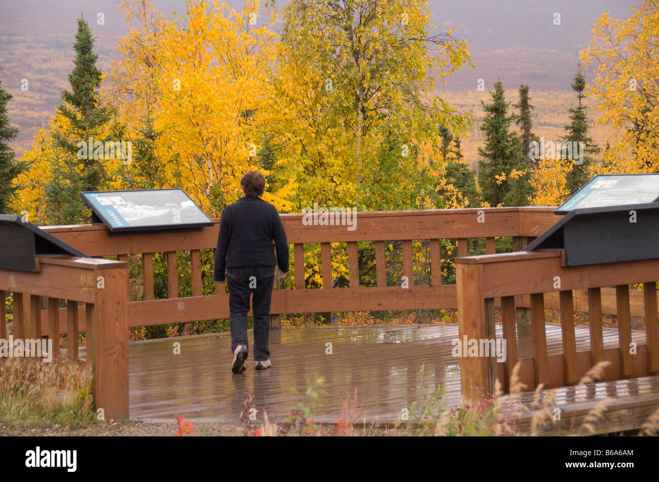 Turista en Actic Círculo BLM Wayside en la Dalton Highway, Alaska Foto de stock