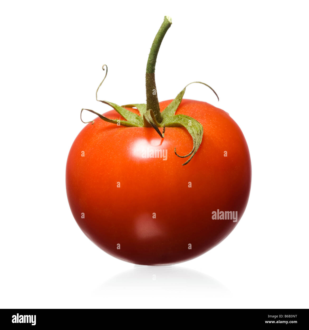 tomate Foto de stock