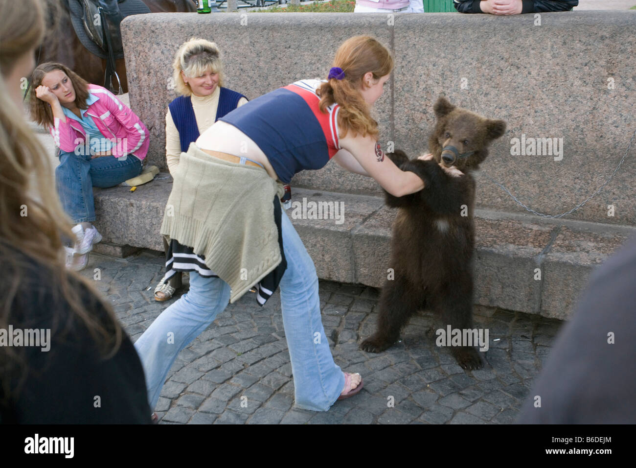 Rusia, San Petersburgo, joven oso pardo utiliza como atracción Foto de stock