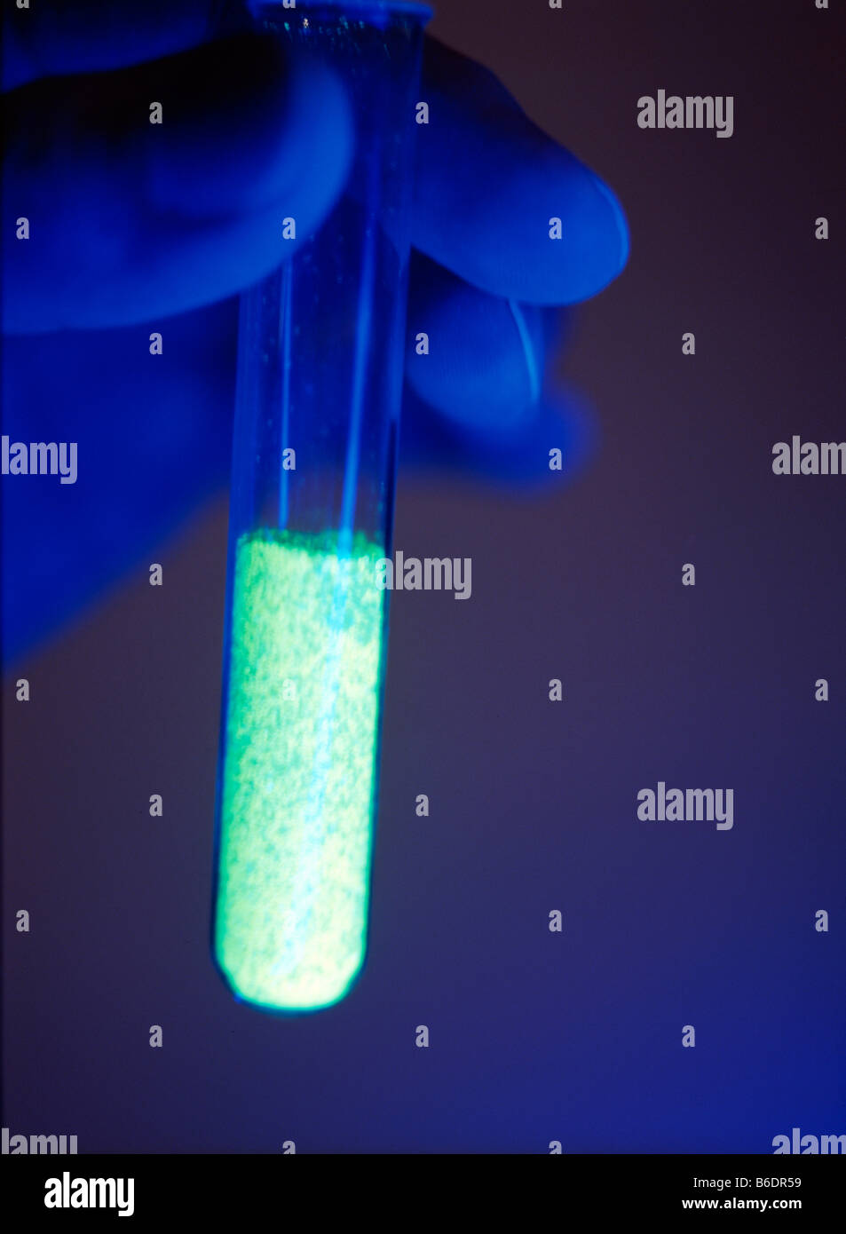 Tubo de ensayo que contiene una sólida, fluorescente químico que está  iluminado en color verde Fotografía de stock - Alamy