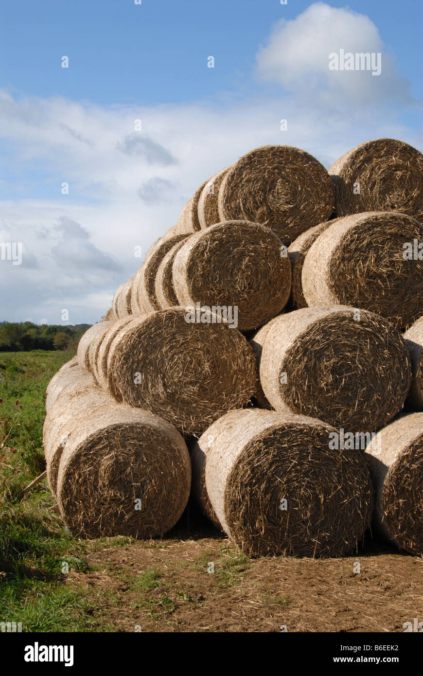 Los fardos de paja apiladas en el campo Fotografía de stock - Alamy