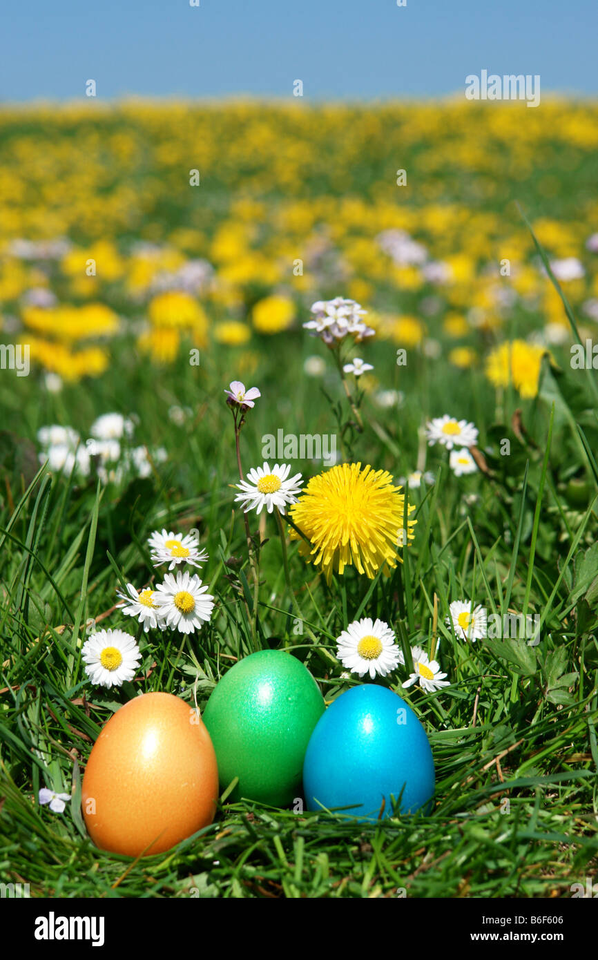 Colorido del huevo de Pascua en el prado Foto de stock