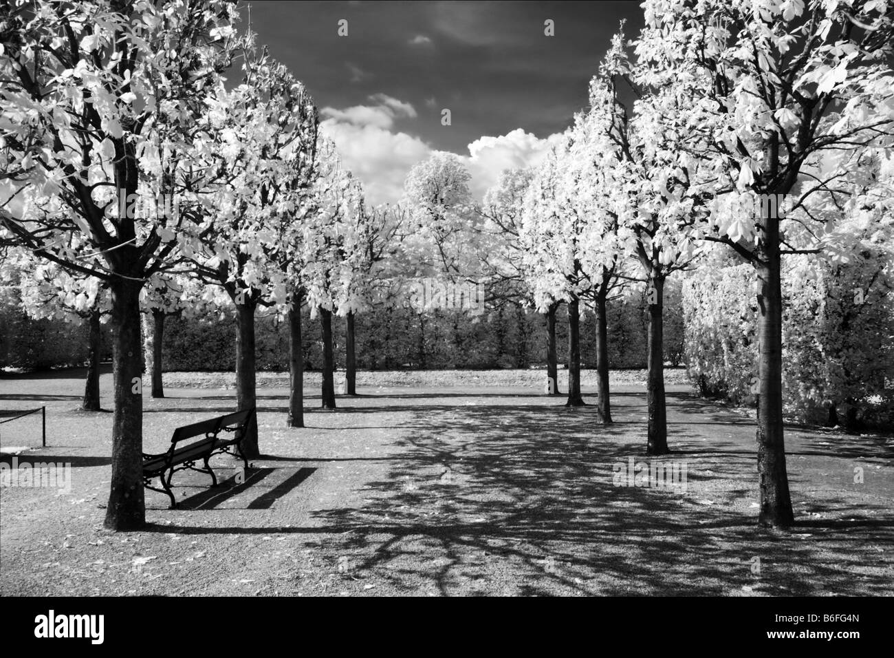 Jardines del Palacio de Schönbrunn, infrarrojos fotografía en blanco y negro, en Viena, Austria, Europa Foto de stock