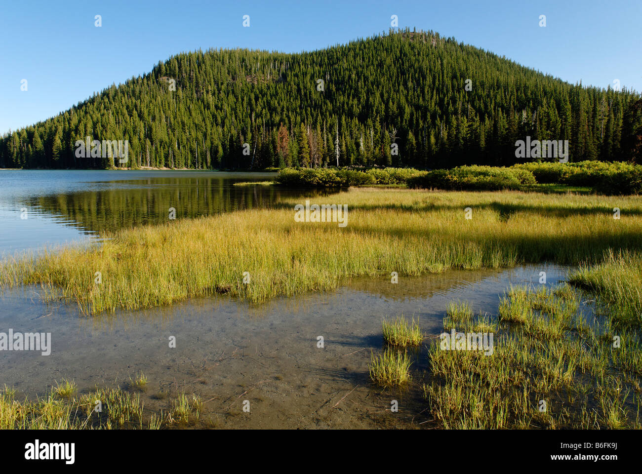 El Lago Devils, Cascade Lakes National Scenic desviación, Cascade Range, Oregón, EE.UU. Foto de stock