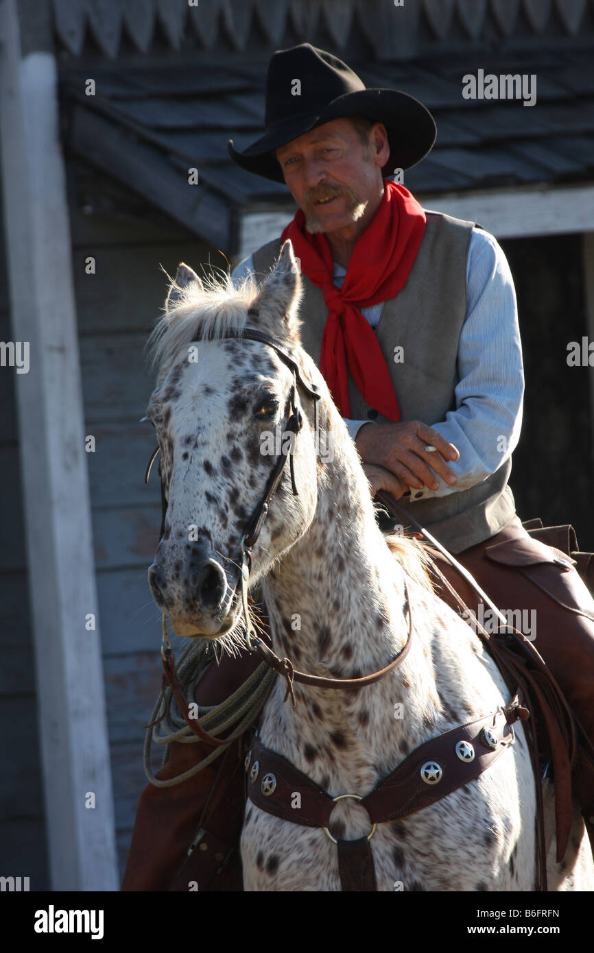 Un Vaquero montando un potro Appaloosa caballos en foco Fotografía de - Alamy