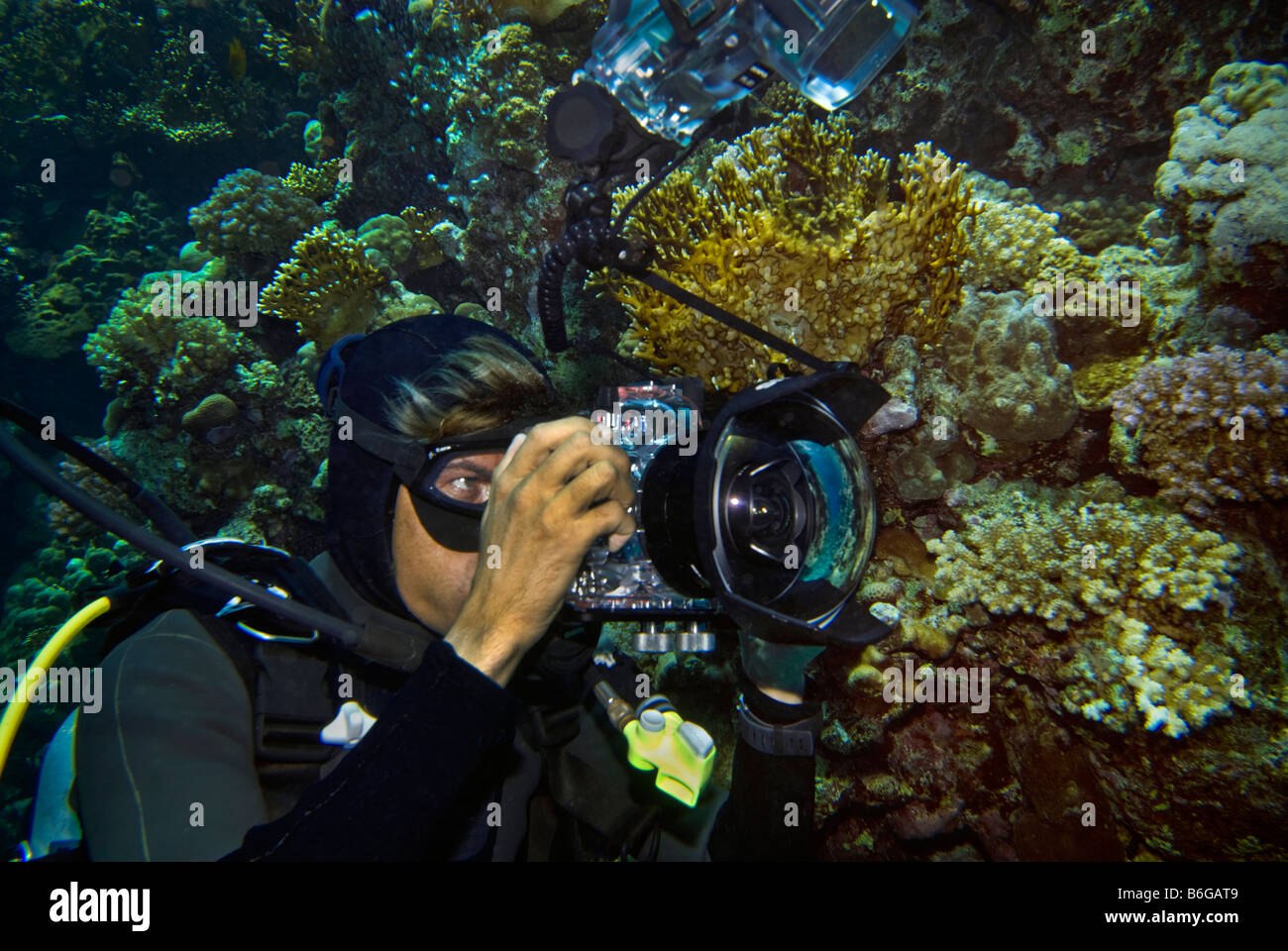 Fotógrafo submarino buceo buceador bajo el agua cámara riff reef en Sharm  el Sheikh el flash de la cámara man boy Fotografía de stock - Alamy